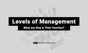 Read more about the article Levels of Management in a Business Definition and Functions