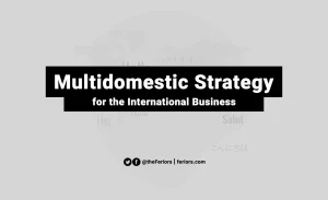 Read more about the article Multidomestic Strategy Definition