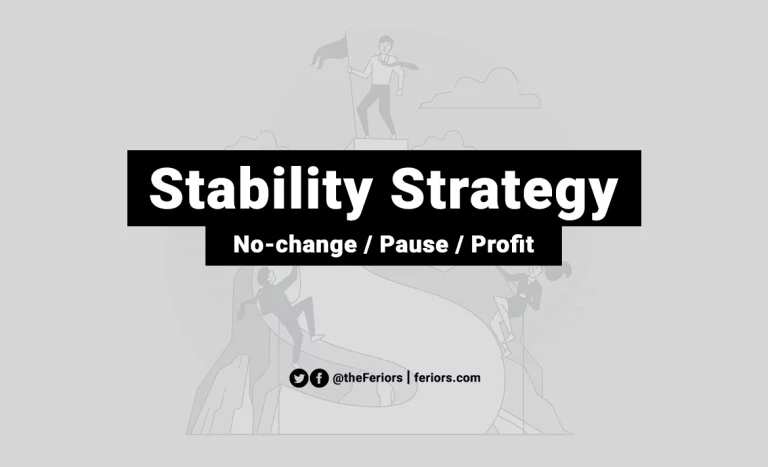 Read more about the article Stability Strategy Definition