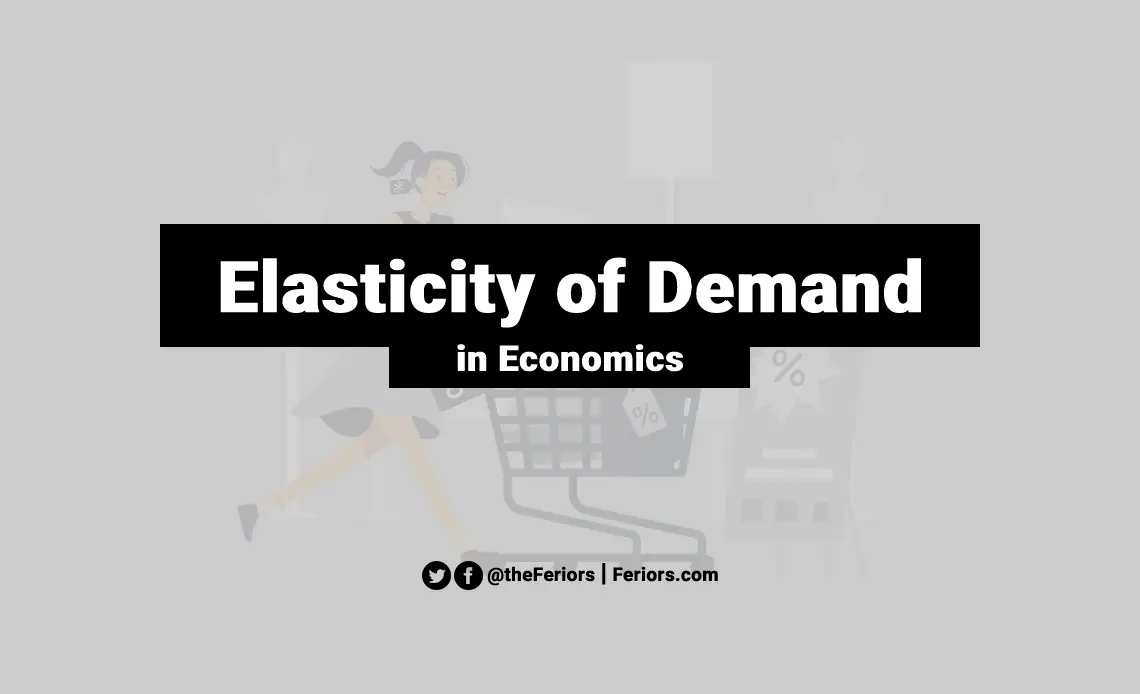 what is elasticity of demand definition