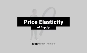 Read more about the article Price Elasticity of Supply in Economics