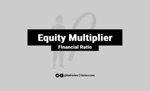 Read more about the article Equity Multiplier Formula & Definition Explained