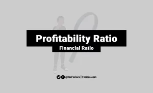 Read more about the article Profitability Ratio Definition & Example Formula