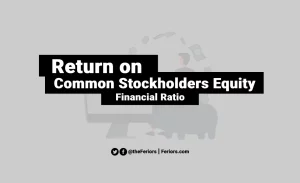 Read more about the article Return on Common Stockholders Equity Formula & Definition