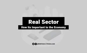 Read more about the article Real Sector Explained: How Its Important to the Economy